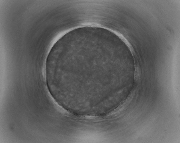 X0000112071295200908251034