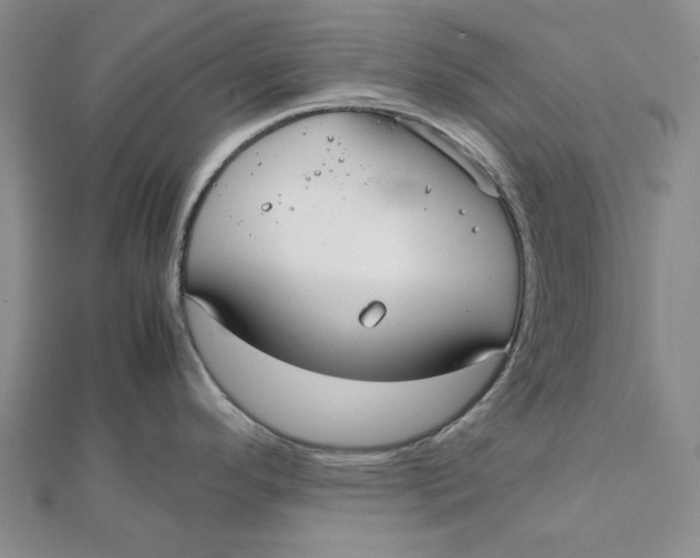 X0000112071296200908251034