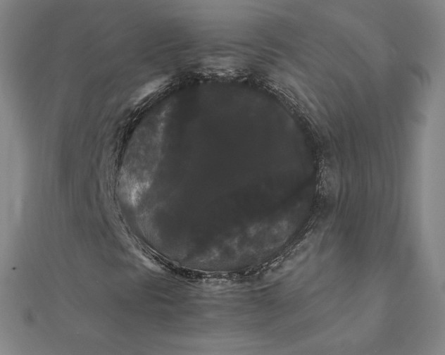 X0000112071297200908251034