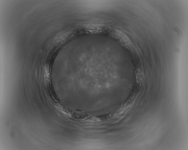 X0000112071298200908251034