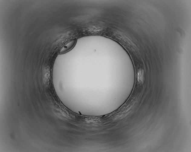 X0000112071299200908251034