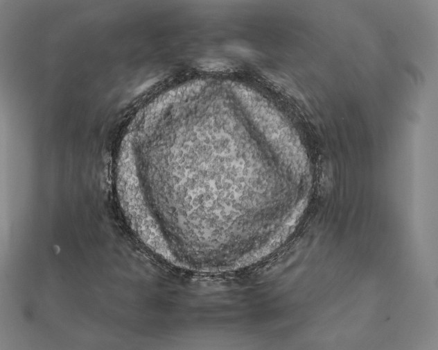 X0000112071301200908251034