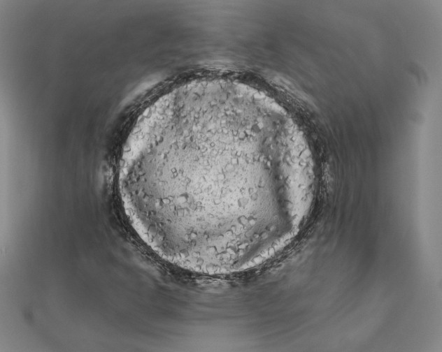 X0000112071302200908251034