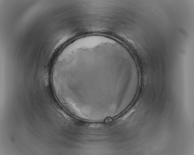 X0000112071306200908251034