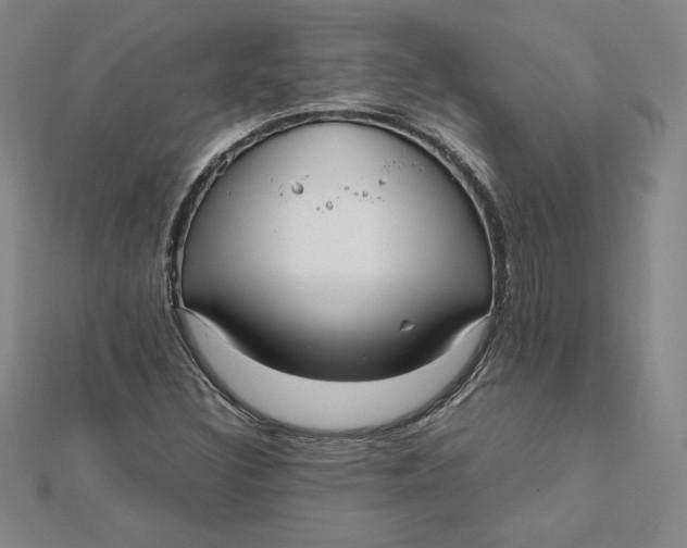 X0000112071308200908251034
