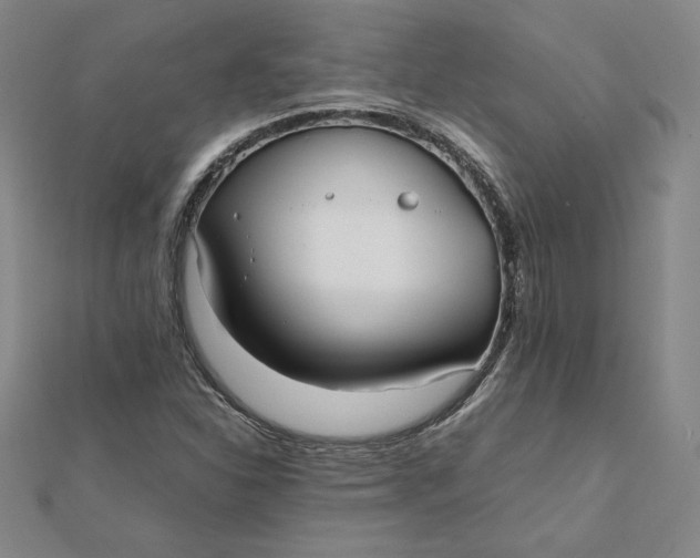 X0000112071310200908251034