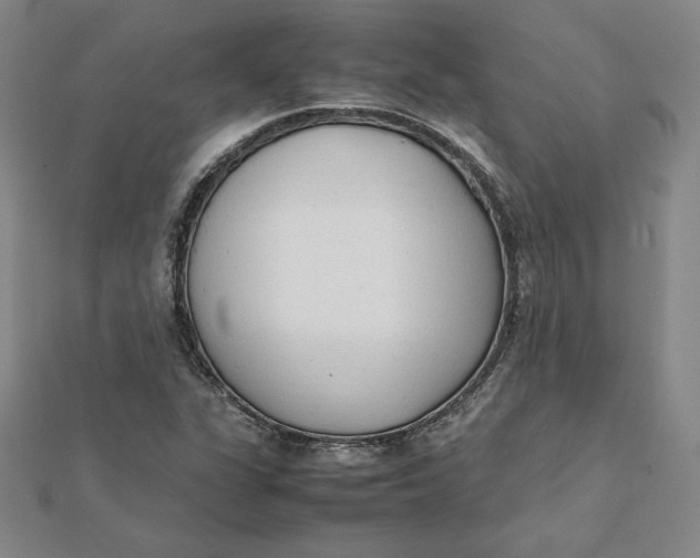 X0000112071311200908251034
