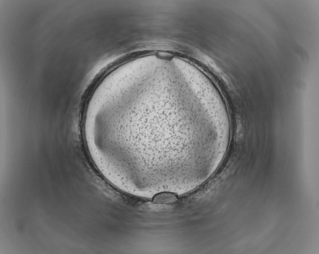 X0000112071312200908251034