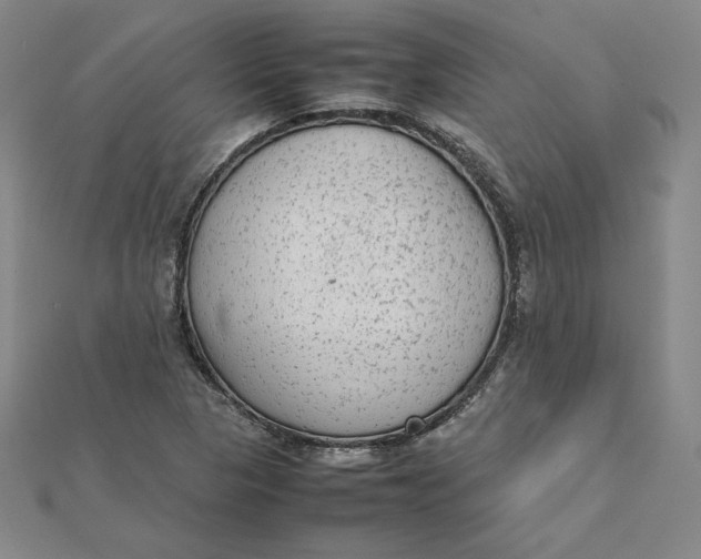 X0000112071313200908251034