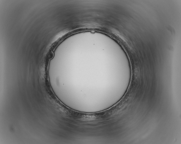 X0000112071315200908251034