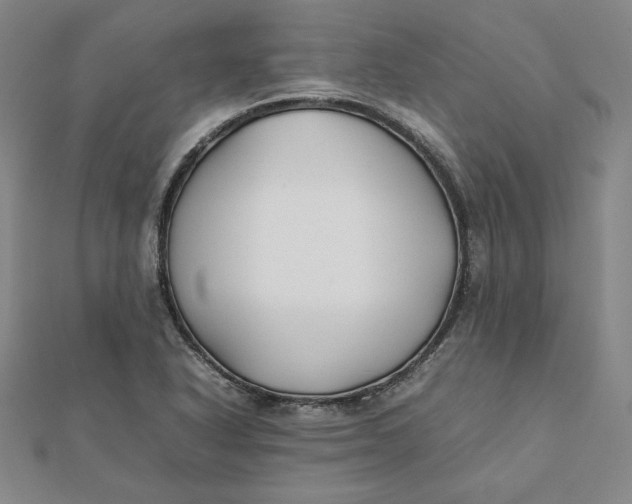 X0000112071318200908251034