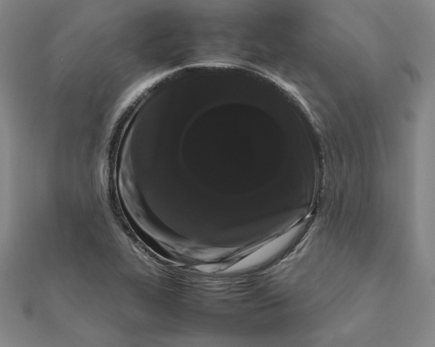 X0000112071319200908251034