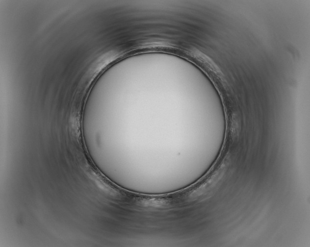 X0000112071321200908251034