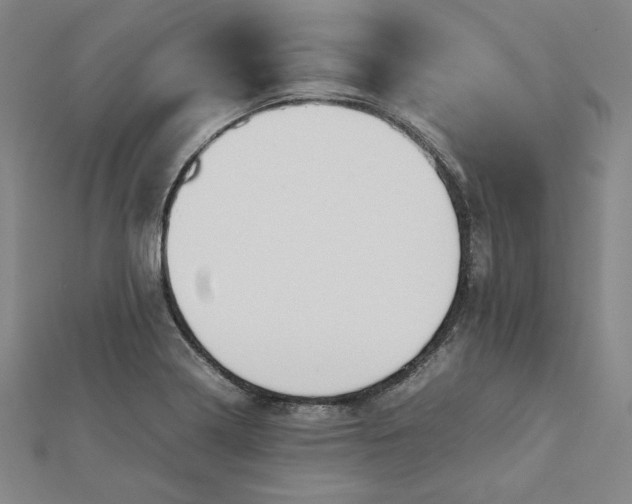 X0000112071322200908251034