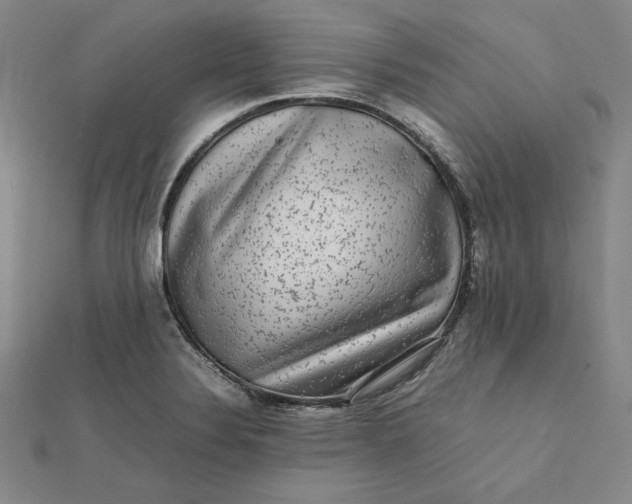 X0000112071324200908251034