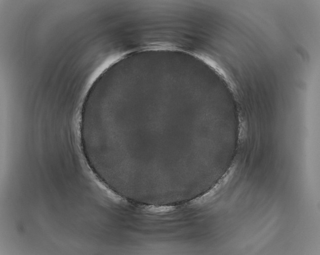 X0000112071325200908251034
