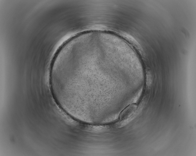 X0000112071326200908251034