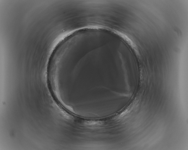X0000112071327200908251034
