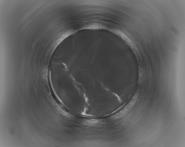 X0000112071329200908251034