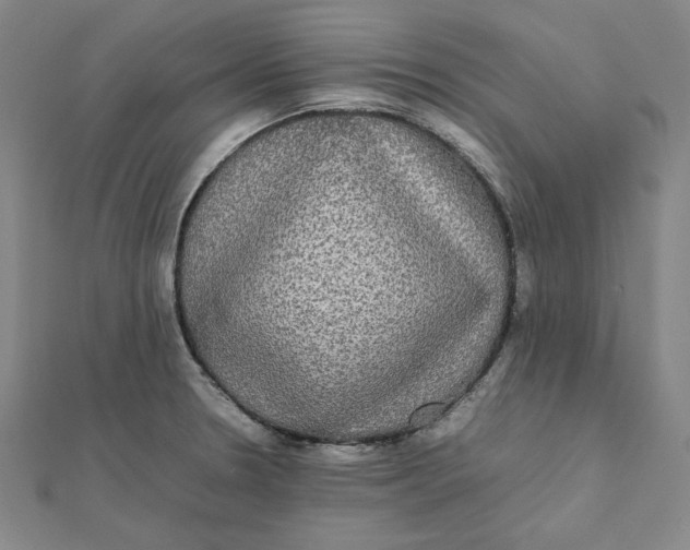 X0000112071330200908251034