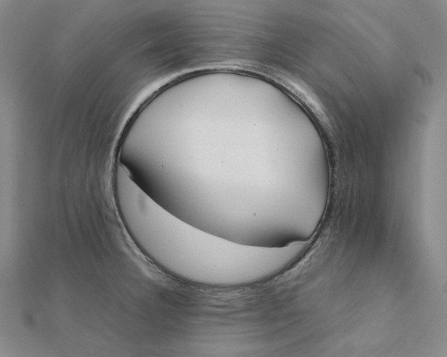 X0000112071332200908251034