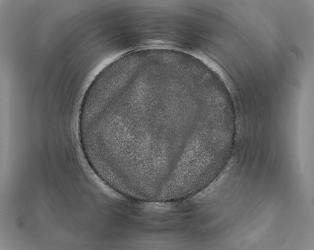 X0000112071333200908251034