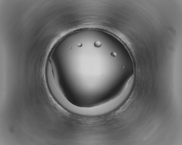 X0000112071334200908251034