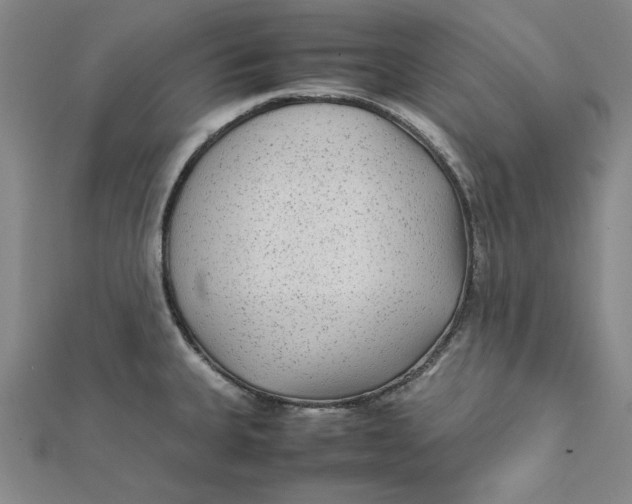 X0000112071335200908251034
