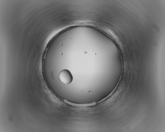 X0000112071336200908251034