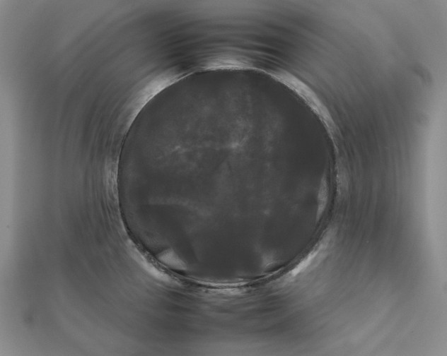 X0000112071337200908251034