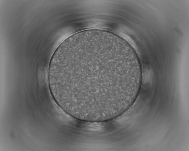 X0000112071338200908251034