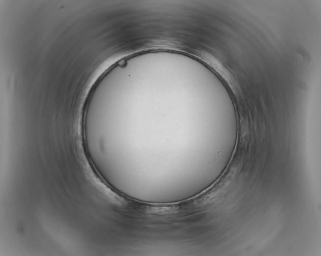 X0000112071339200908251034