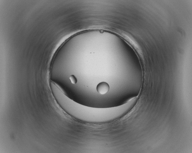 X0000112071340200908251034