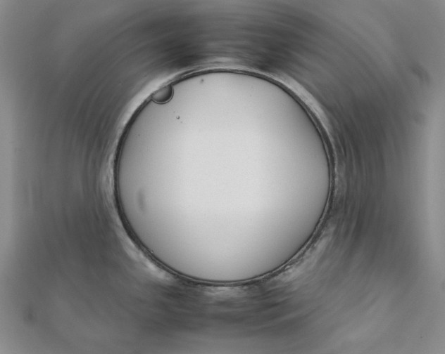 X0000112071341200908251034