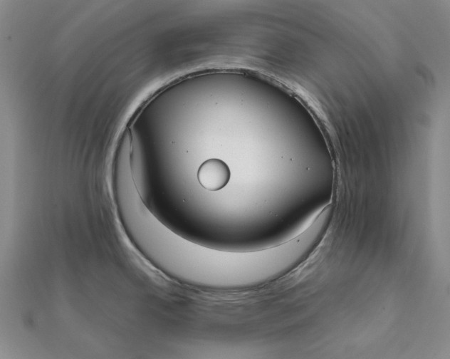X0000112071342200908251034