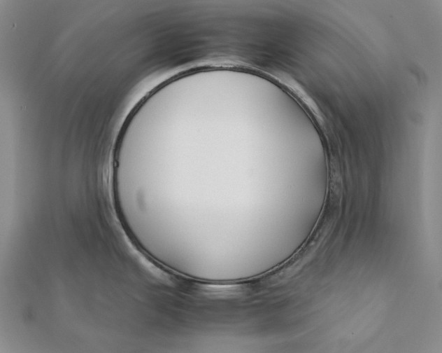 X0000112071343200908251034