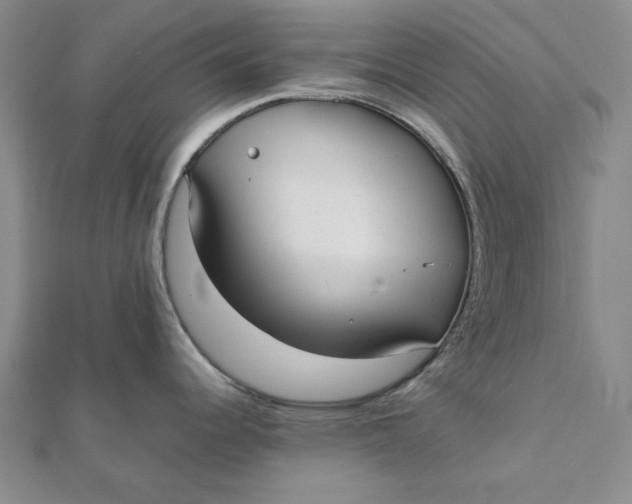X0000112071344200908251034