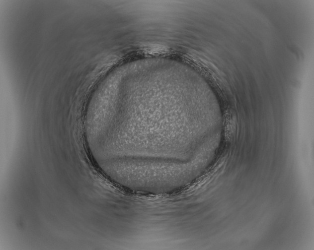 X0000112071345200908251034