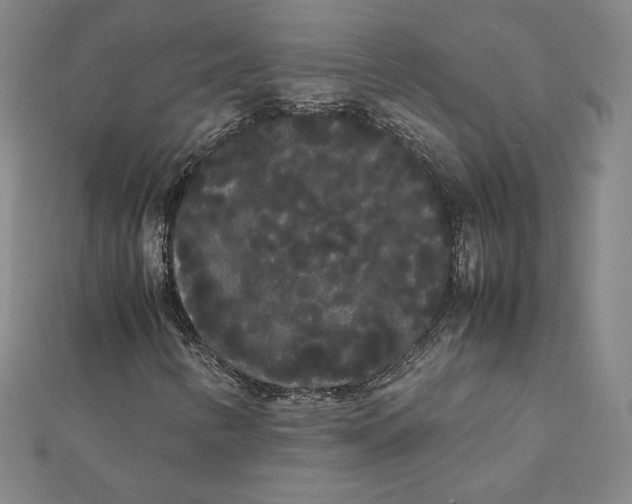 X0000112071346200908251034