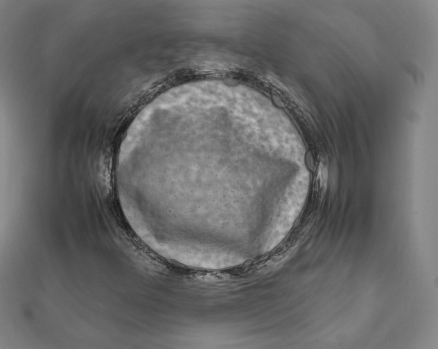X0000112071348200908251034