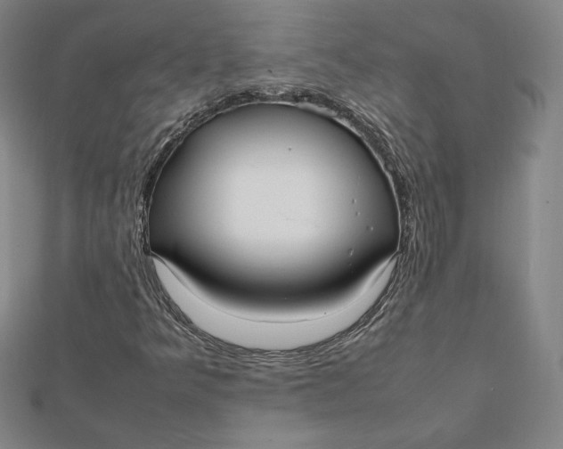 X0000112071349200908251034