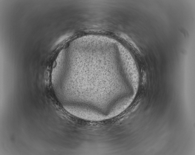 X0000112071350200908251034