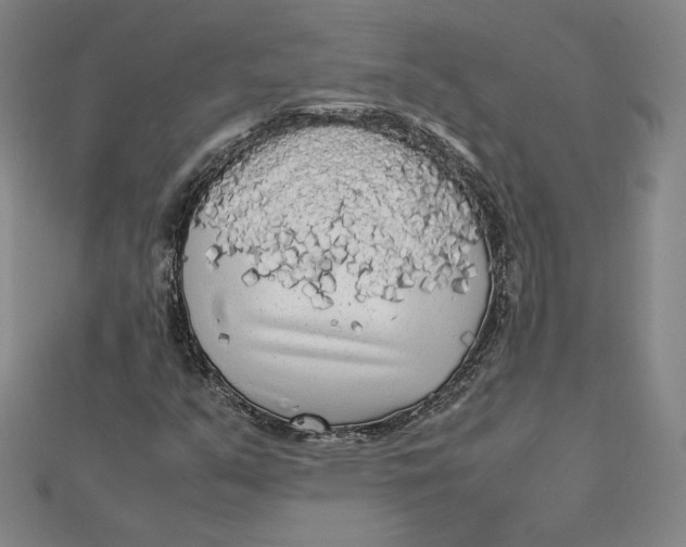 X0000112071351200908251034