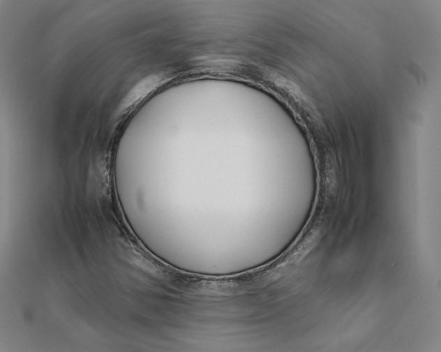 X0000112071354200908251034