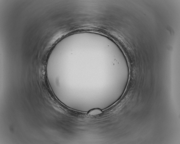 X0000112071355200908251034