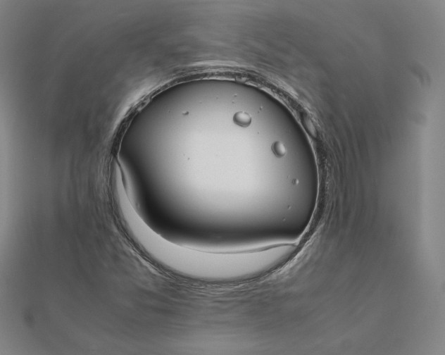 X0000112071357200908251034