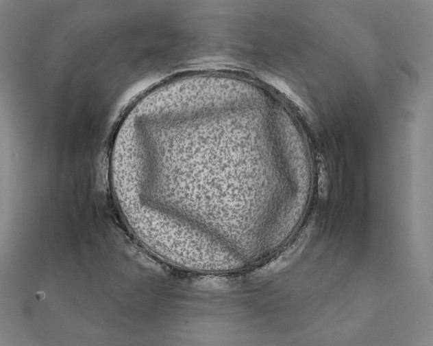 X0000112071358200908251034