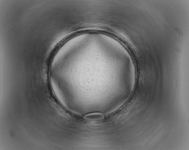 X0000112071360200908251034