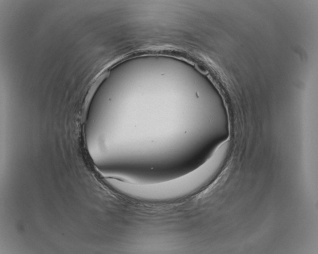 X0000112071361200908251034