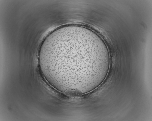 X0000112071363200908251033